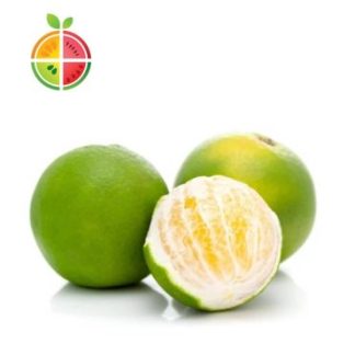 Sweet Lime | Mosammi (Orange) | 1 Dozen